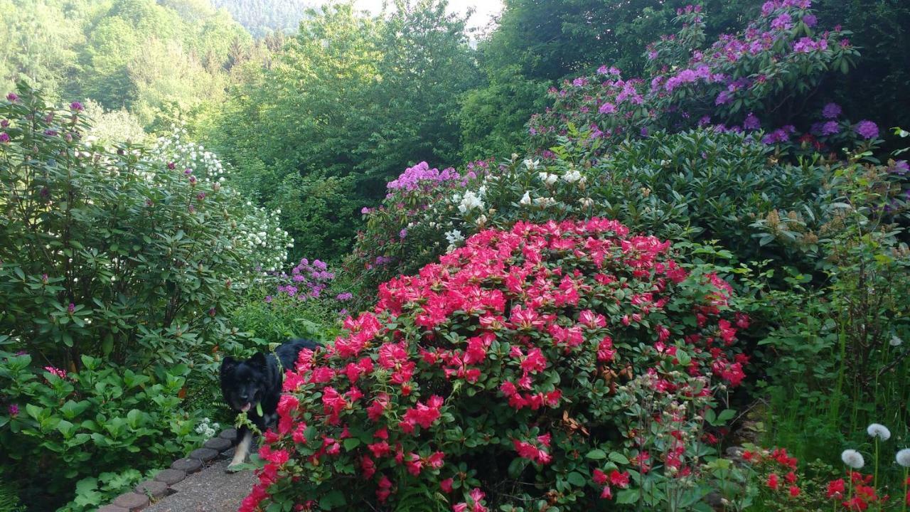 Ferienwohnung Rhododendron - Natur pur Kinderparadies Rotenburg an der Fulda Exterior foto