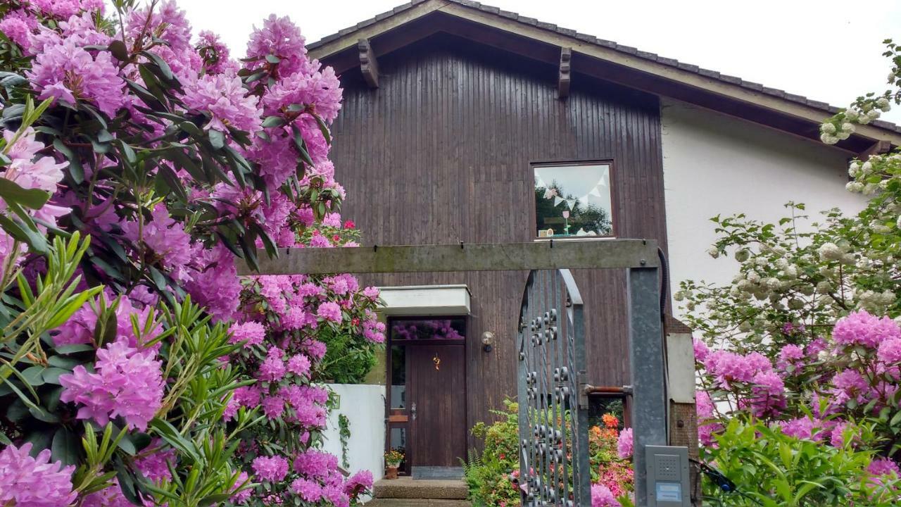 Ferienwohnung Rhododendron - Natur pur Kinderparadies Rotenburg an der Fulda Exterior foto
